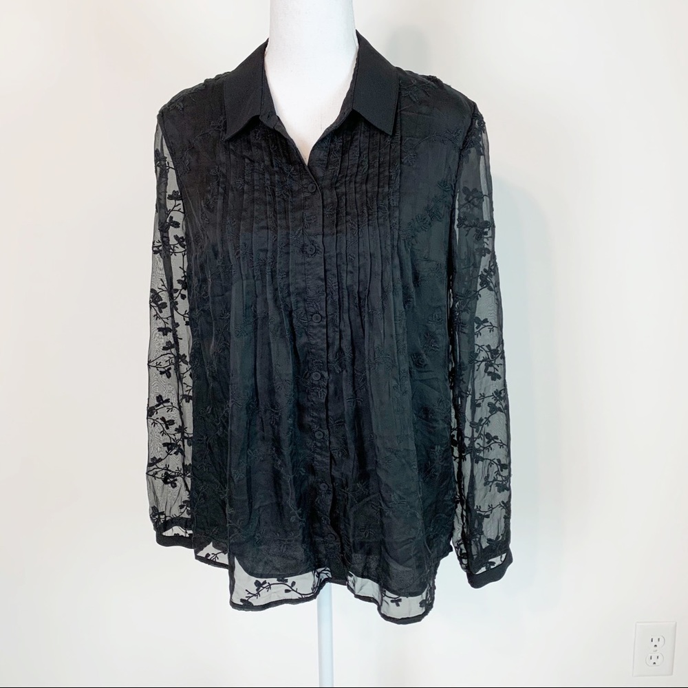 Daniel‎ Rainn Women’s semi sheer pleated blouse